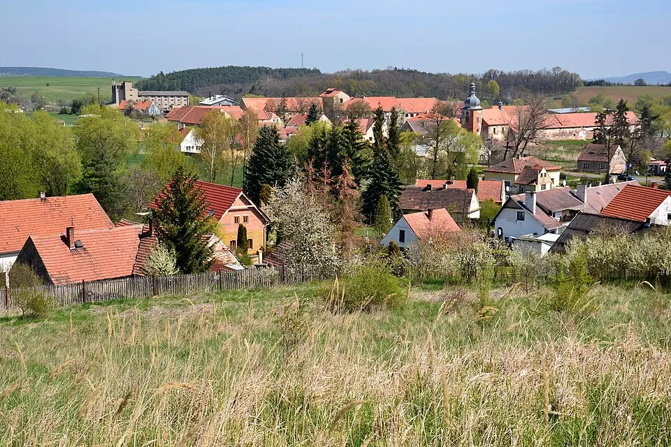 Vidhostice