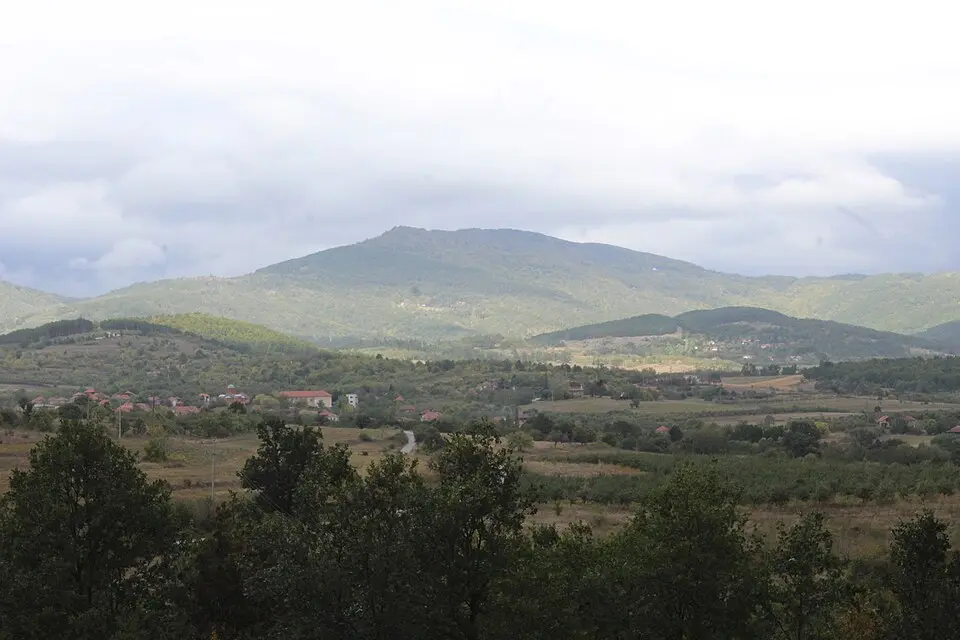 Vidojevica