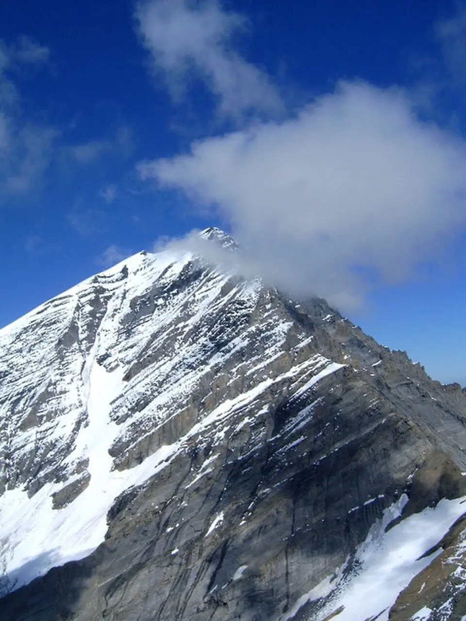 Balmhorn