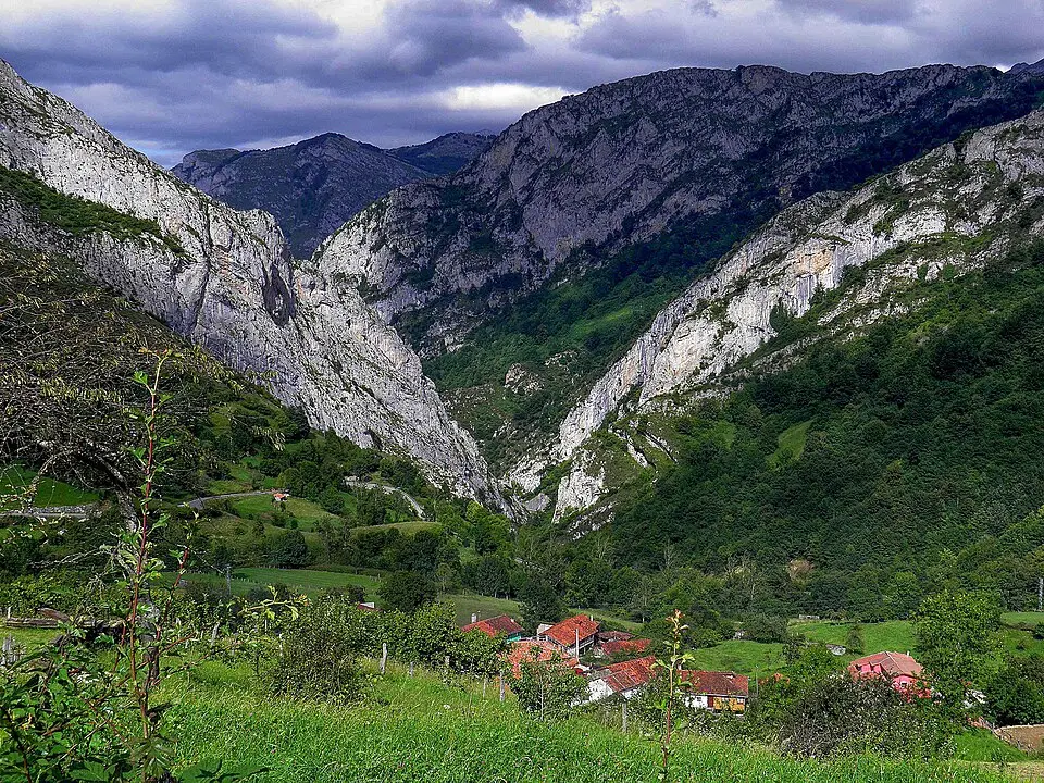 Viegu