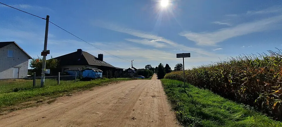 Вербнікі