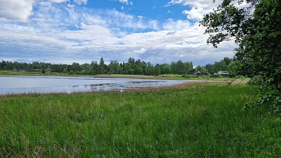 Viernbukta naturreservat
