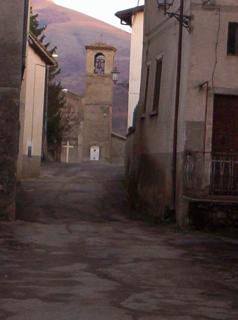 Viesci