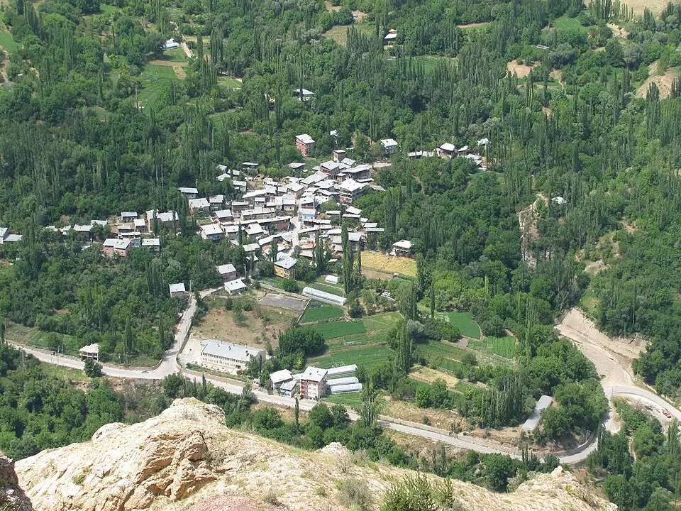 Şenyurt
