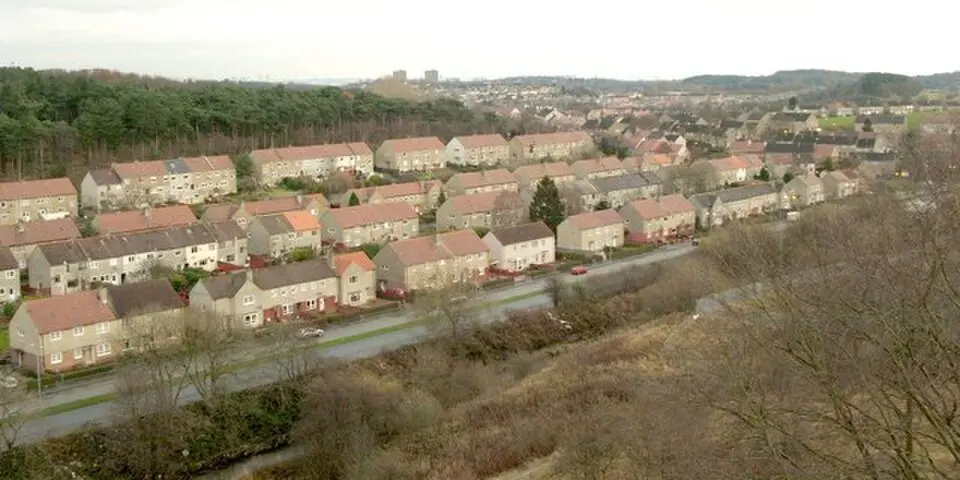 Pollok