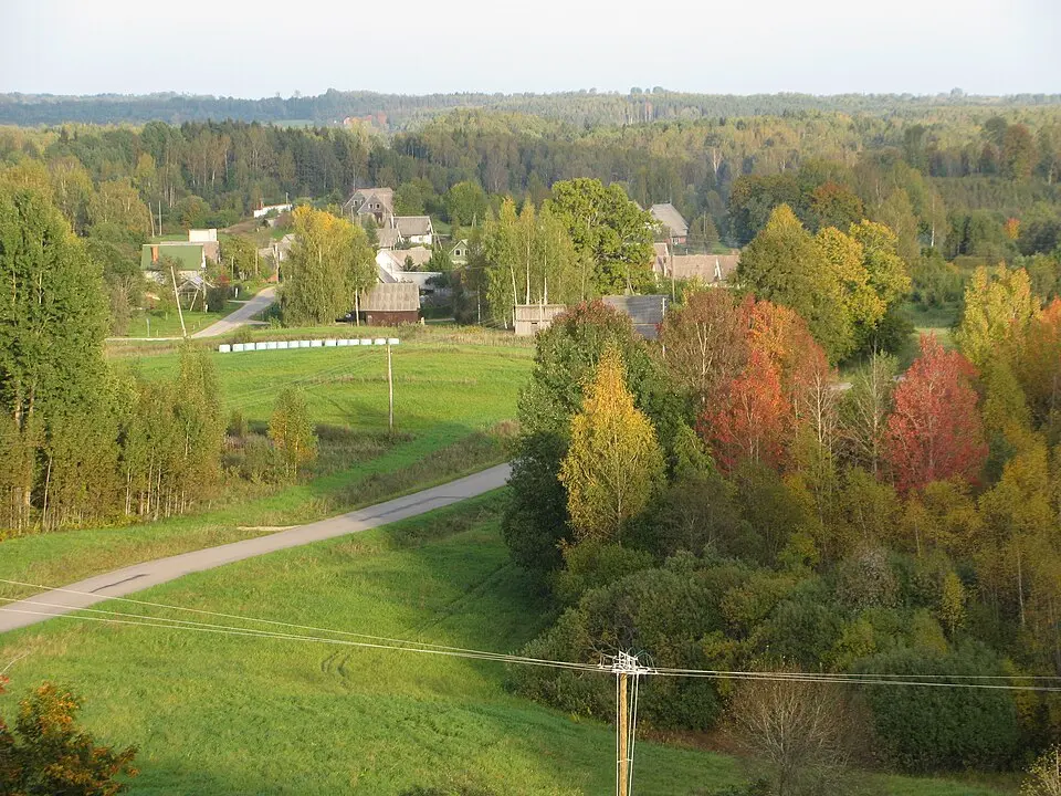 Korneti