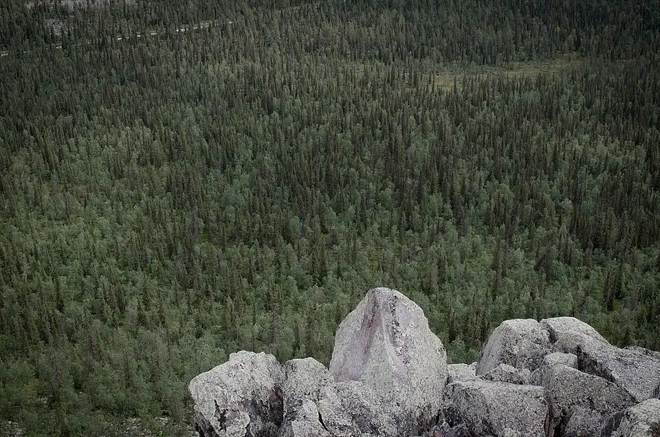 Stubba naturreservat