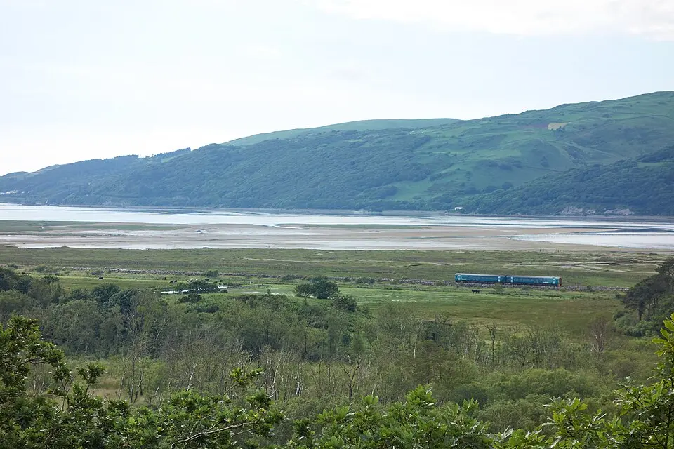 Obrázek: Celuici · CC BY-SA 4.0 Ynys-hir RSPB reserve