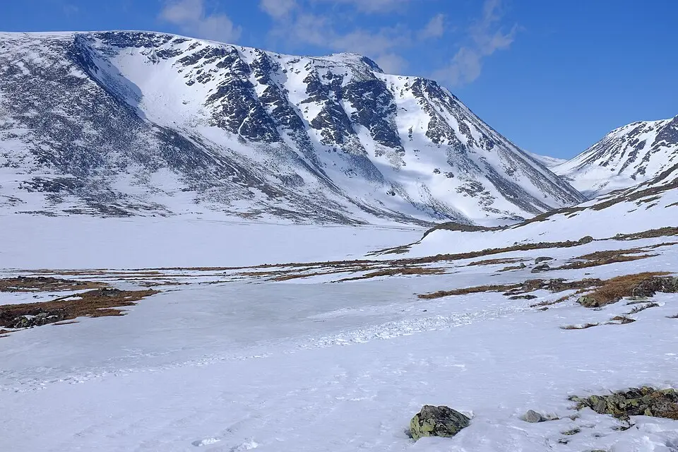 Ryggjehøe