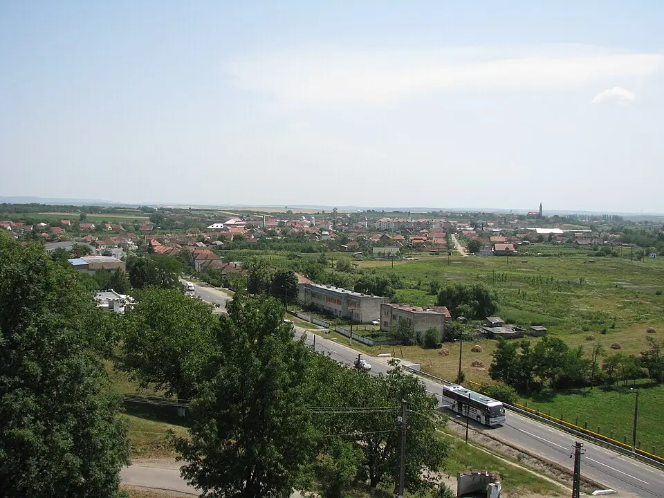 Erdőd
