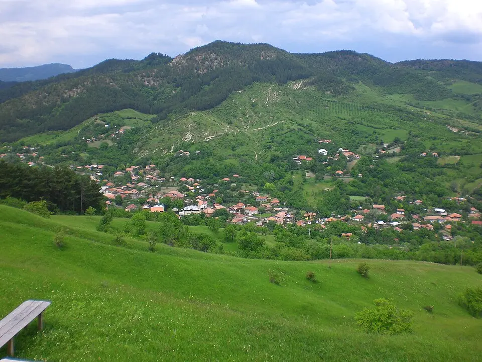 Brăești