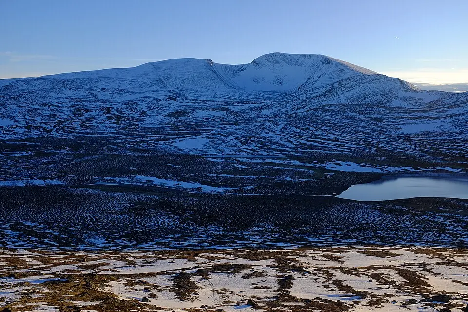 Storskarhøa