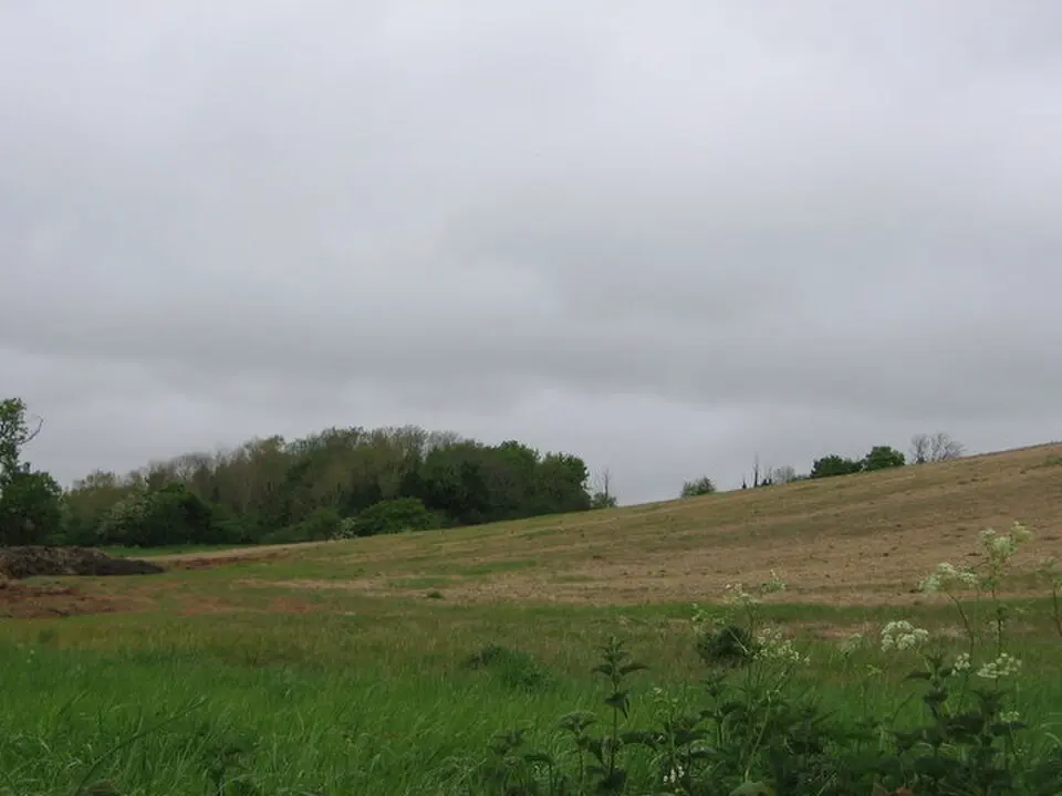 Part of the linear boundary known as the Wansdyke 585m north of Tuckingmill Farm