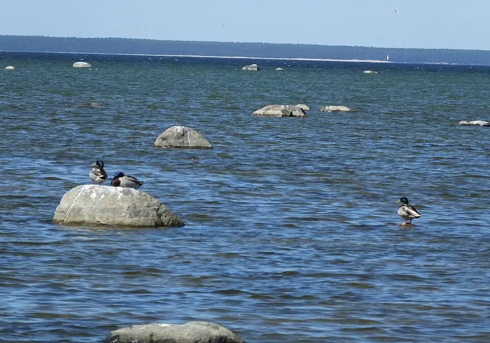 baie de Paljassaare