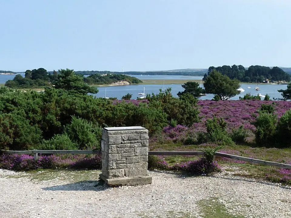 Arne RSPB reserve