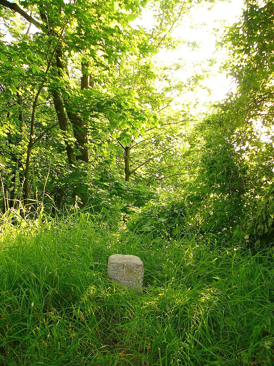 Image: Gliwi · CC BY-SA 3.0 VIII. Burgfriedensstein