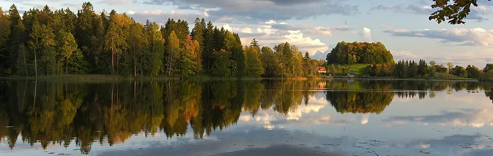 Viitina
