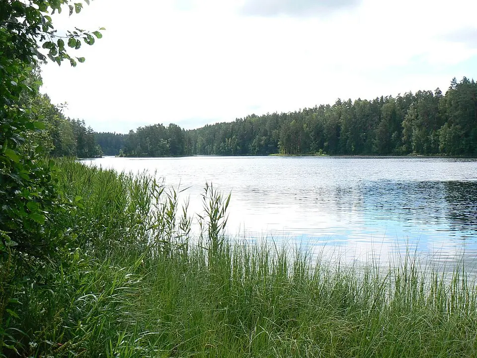 Pikkjärv