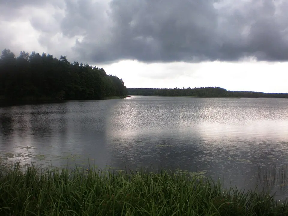 Baluošas