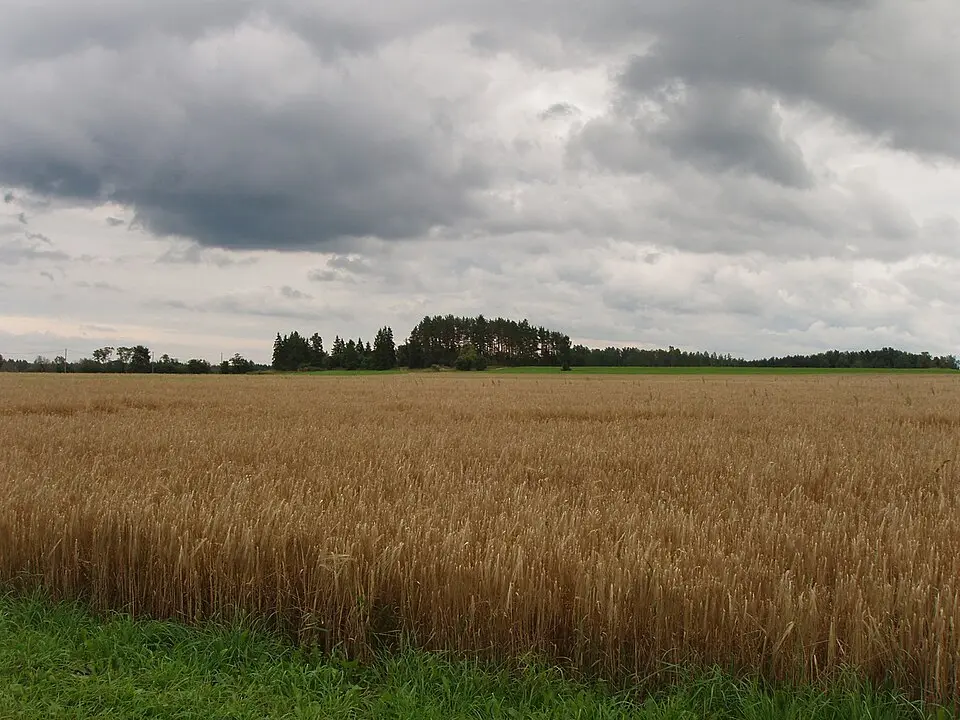 Vilama