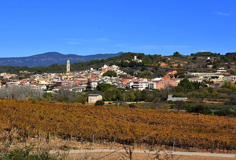 Vilarrodona
