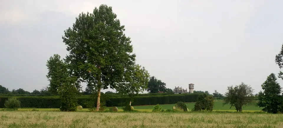 Capodimonte