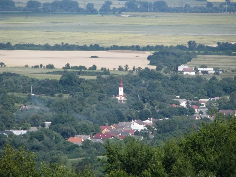 Davidov