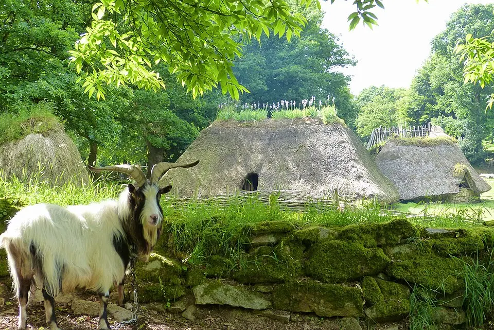 village de l'an Mil de Melrand