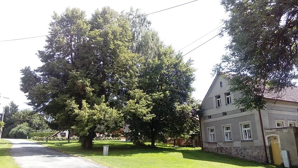 Valdorf