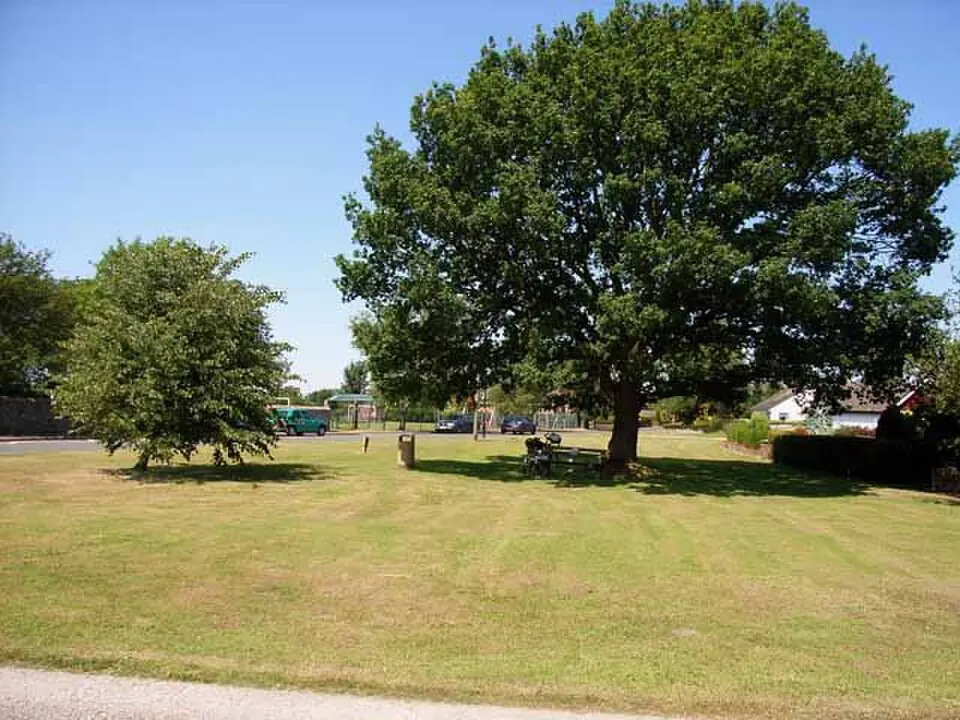 Orton