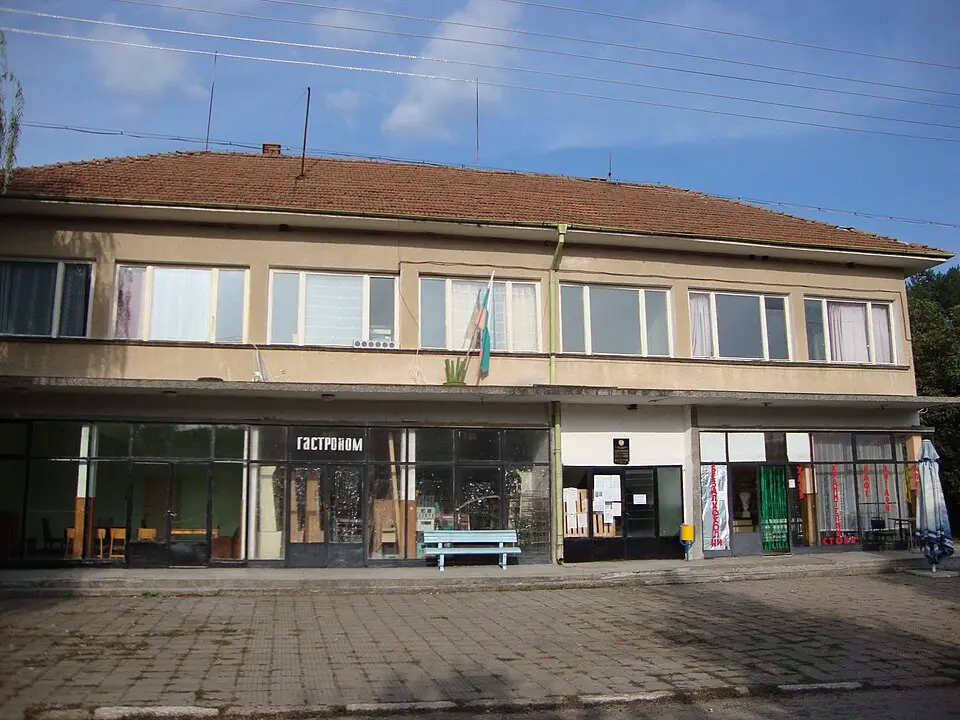 Видлица