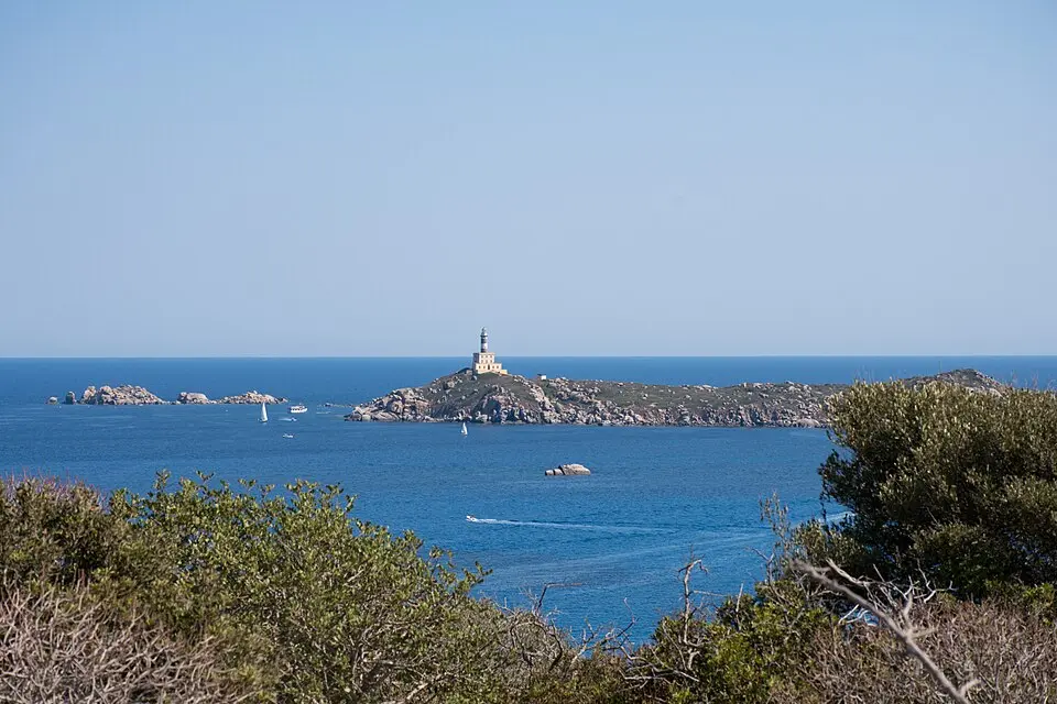 Torre dell'Isola dei Cavoli