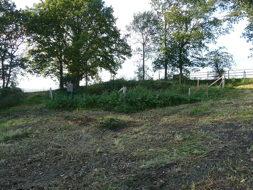 Neolithic flint mines of Banholt