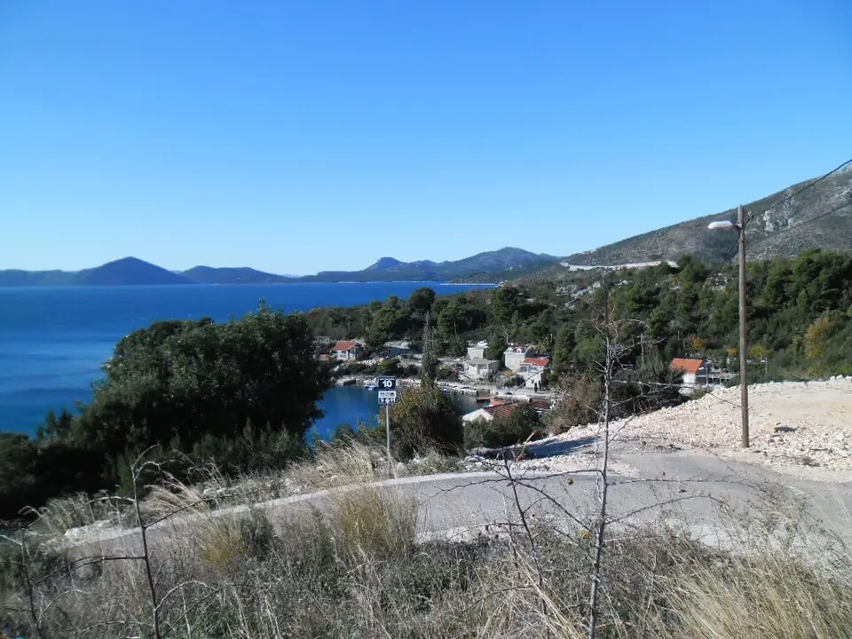 Banići