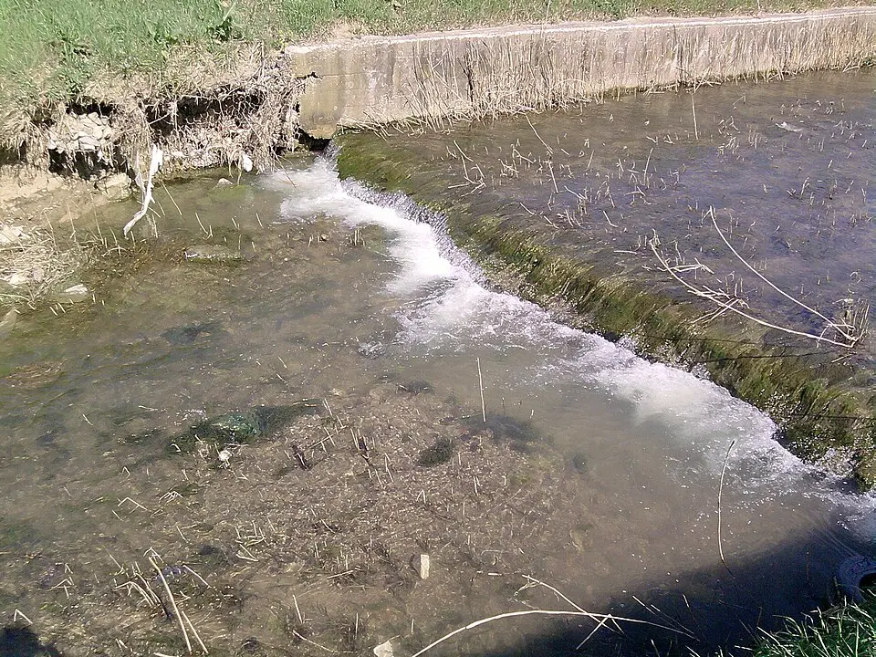 Stagno