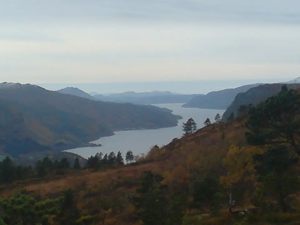 Vinjefjorden
