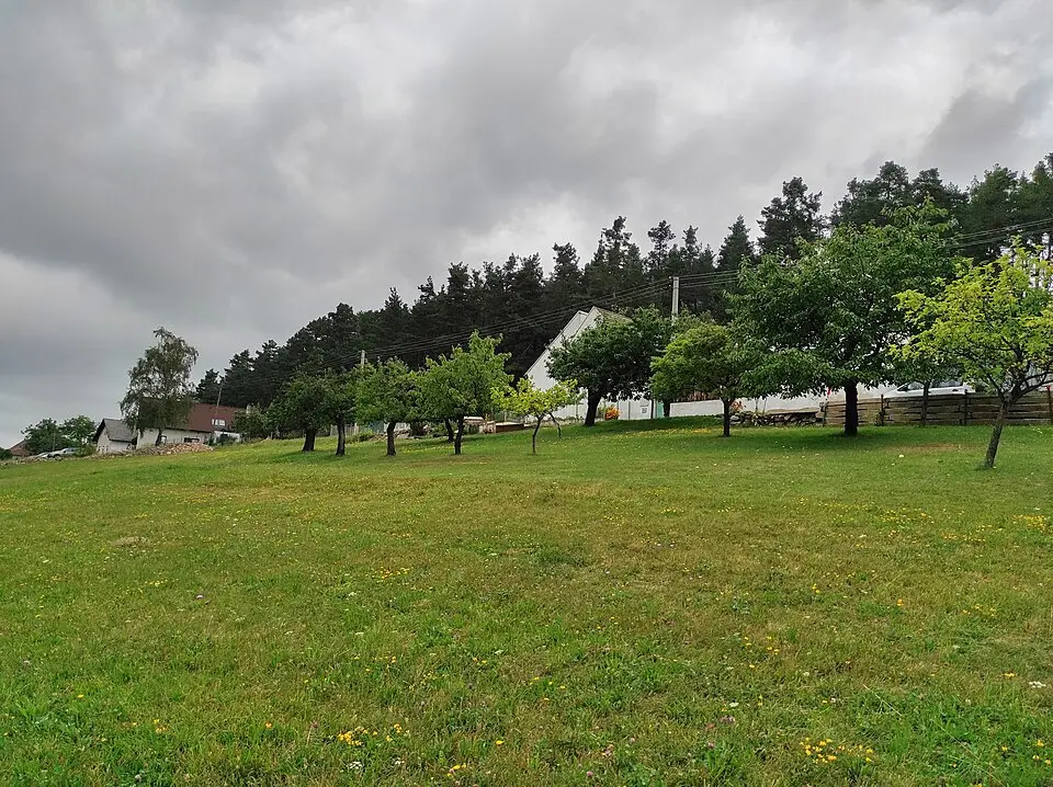 Vinná