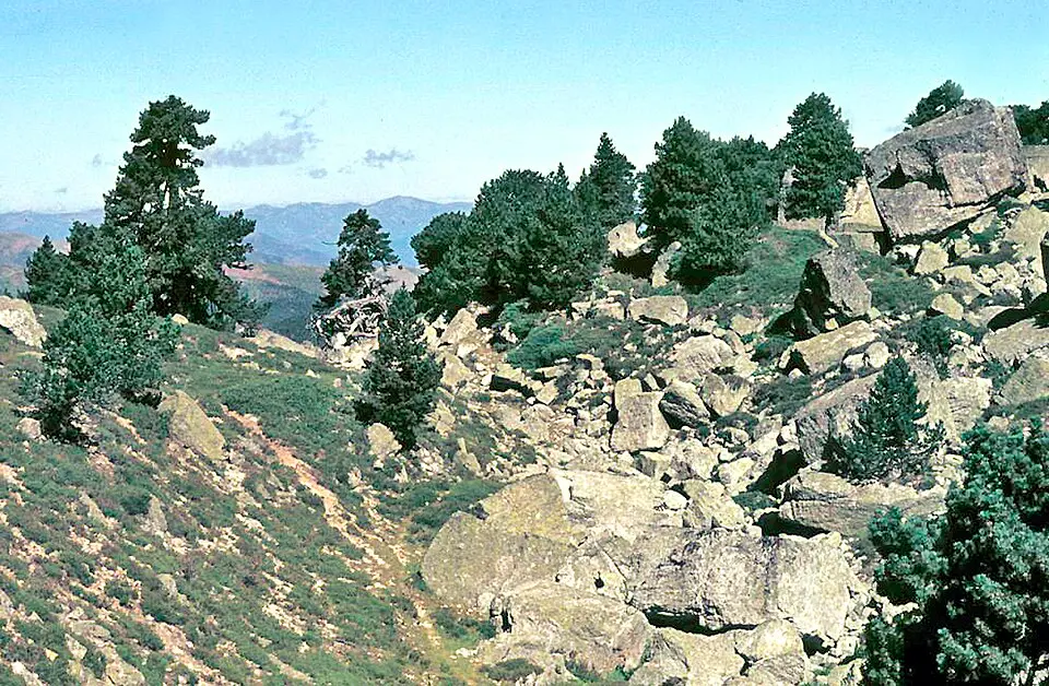 Comarca de Pinares