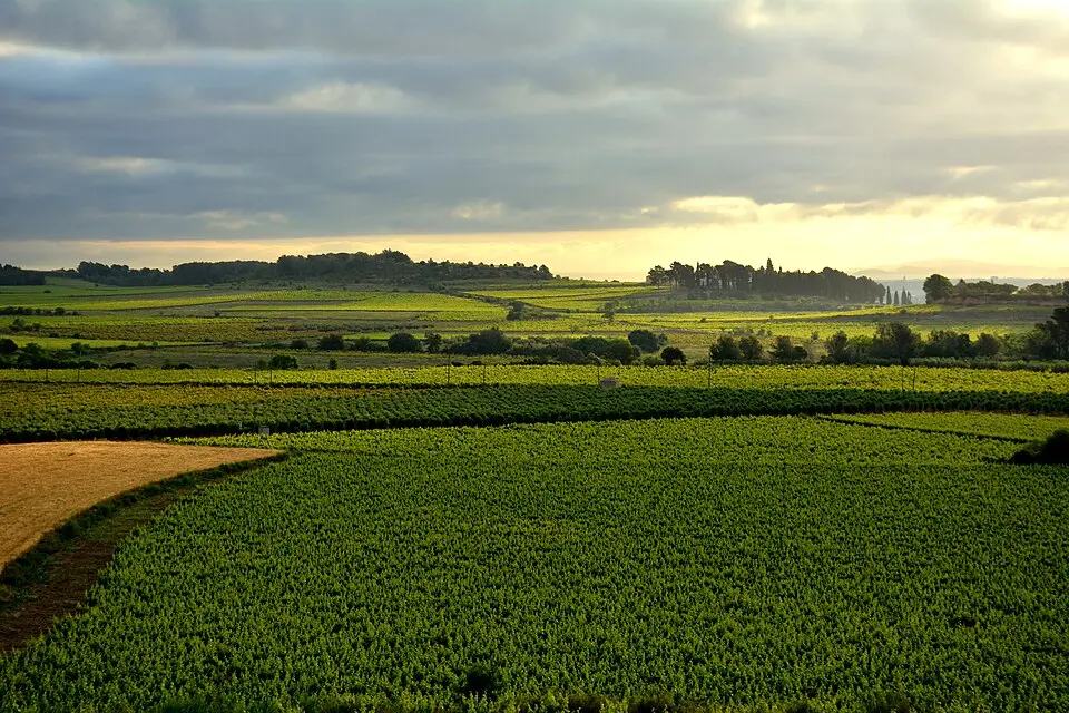 Baix Penedès