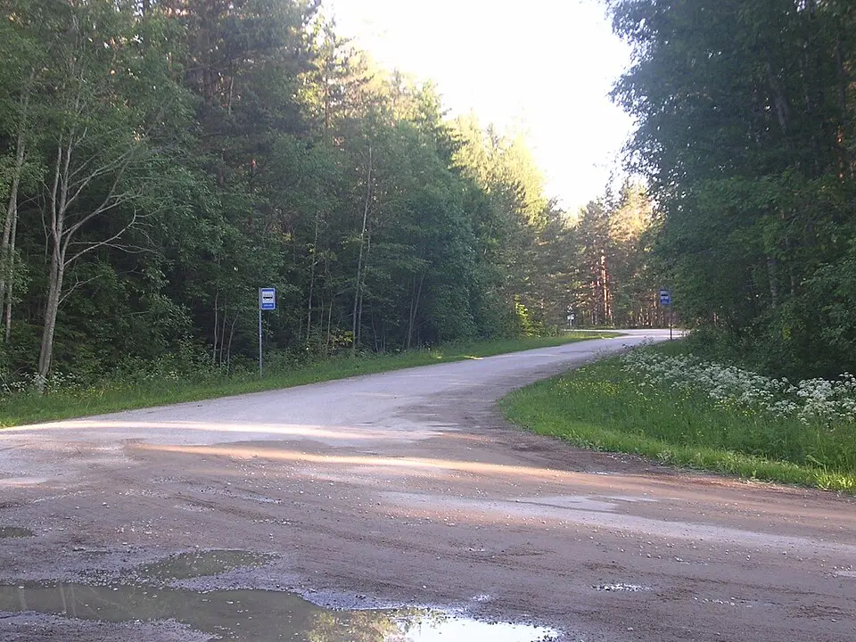 Virve