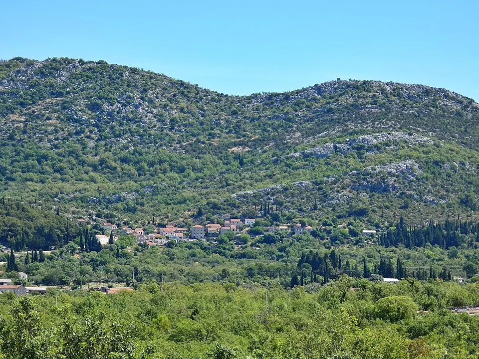Visočani