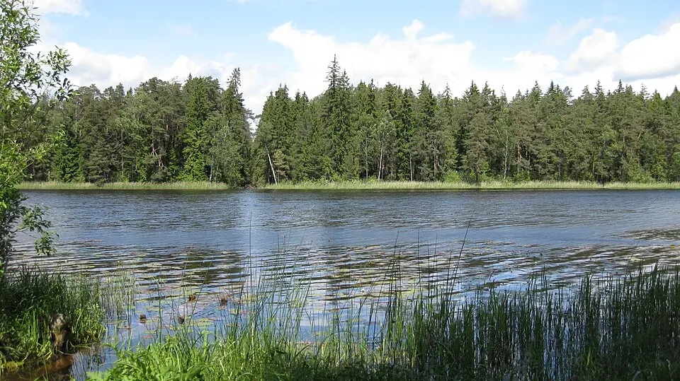 Vissi järv