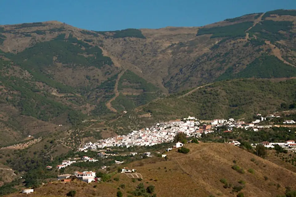 Image: Rafael Mérida · CC BY-SA 2.5 Canillas de Albaida