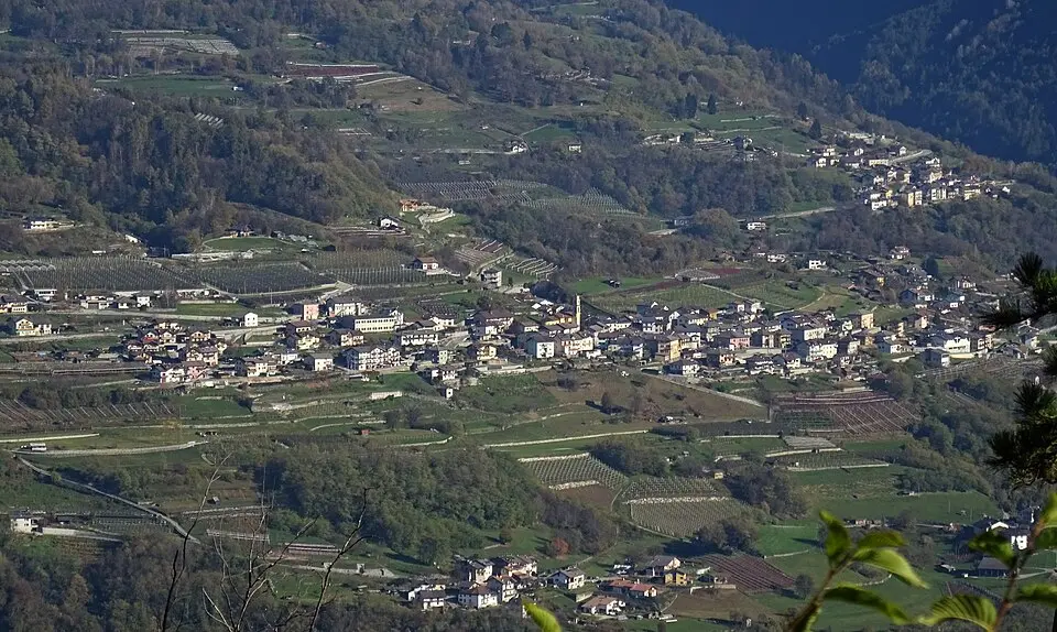 Spera
