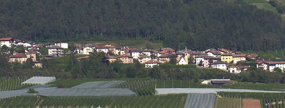 Malgolo