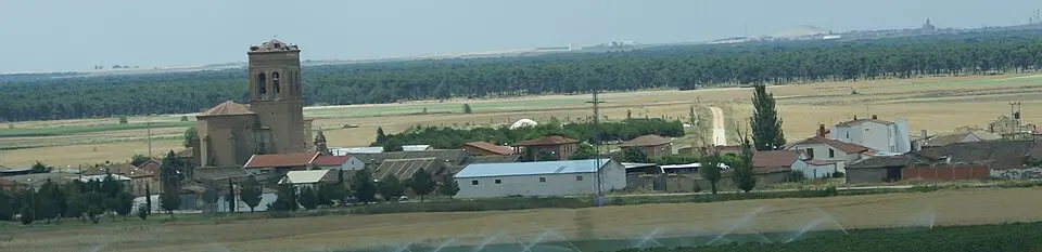 Bocigas