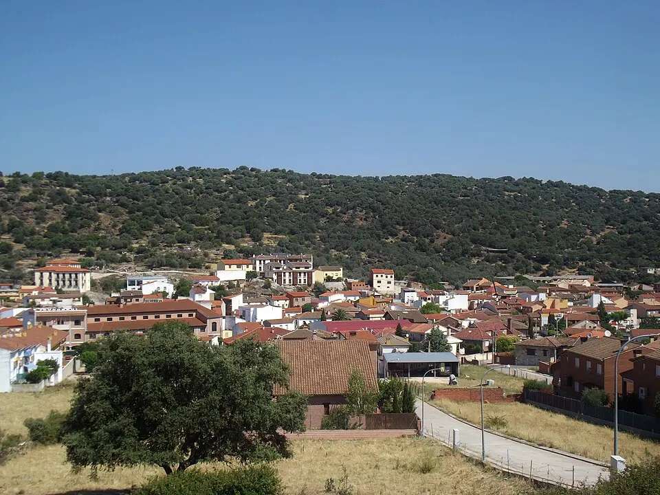 Pepino