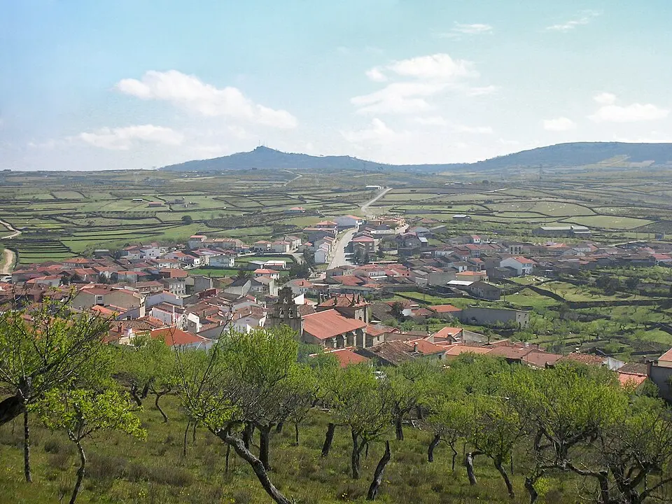 Vilvestre