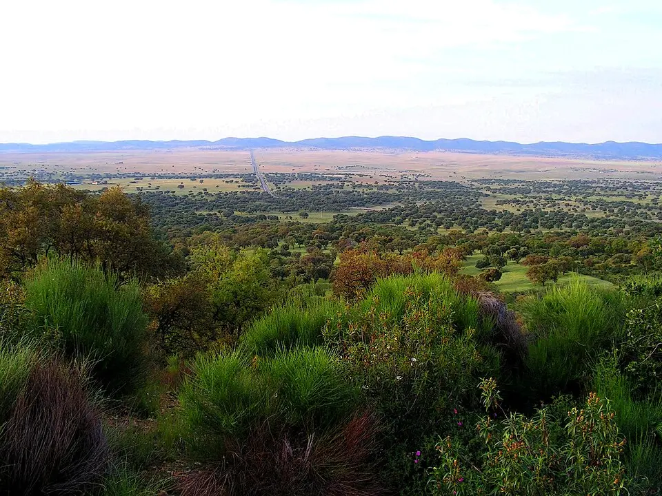 Valle de Alcudia
