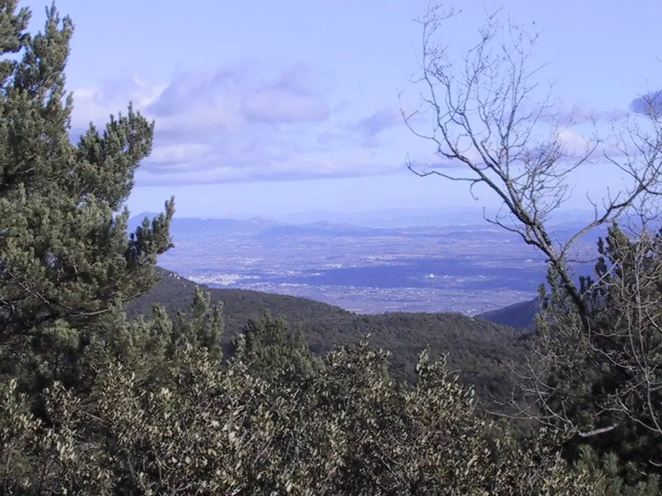 Obrázek: pere prlpz · CC BY-SA 3.0 Campo de Tarragona